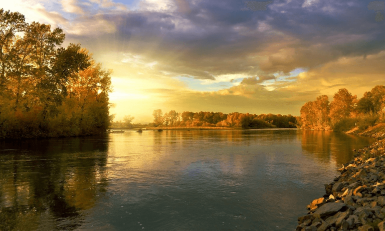 Sociosqu ad litora torquent