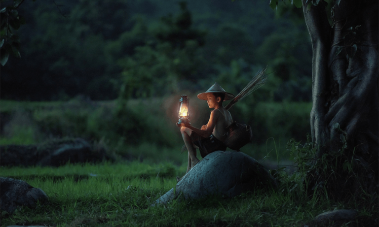 Metus vitae pharetra auctor